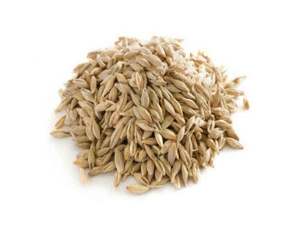 ���� ������� (� ����) 25�� �������� ������� - �������� 1