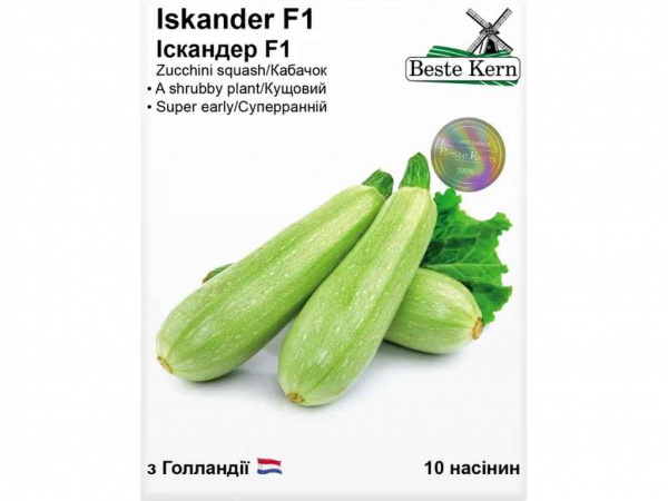 ������� �������� F1 (5 ������)/(5 ����� � ��������) ��Beste Kern - �������� 1