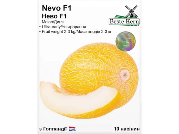 ���� ���� F1 (10 ������)/(5 ����� � ��������) ��Beste Kern - �������� 1