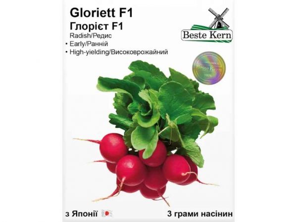 ����� ����� F1 3� /(5 ����� � ��������) ��Beste Kern - �������� 1