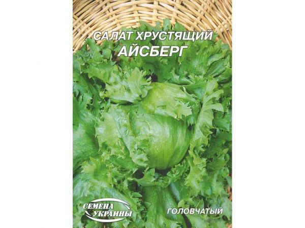 ó���� ����� �������� ������� (10 �����) 10� �������� ������� - �������� 1