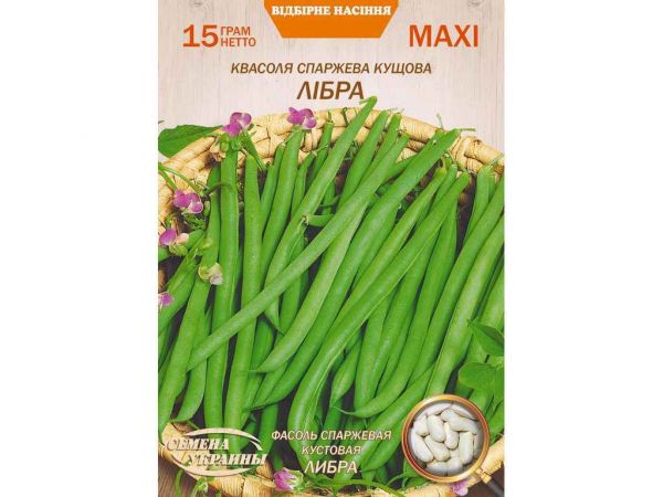 ������� ���� ������ ˲��� (10 �����) (��) 15� ����Ѳ��� ������� - �������� 1