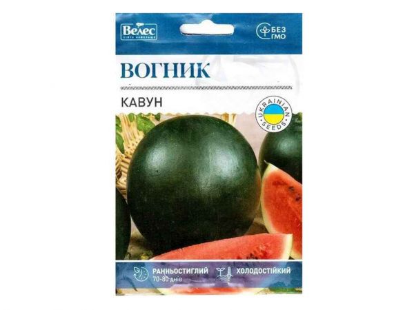 ����� ������ ���Ѳ (10 �����) 5� ������� - �������� 1