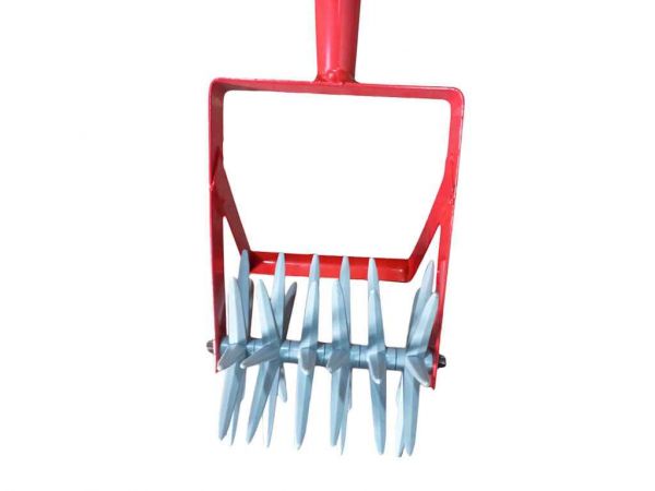 ����������� ������ ���� (�������) 6 ���� ��������� - �������� 1