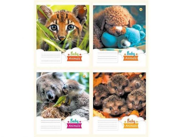 ����� � ���� ���� 12���. 25��/�� ������ 43107 �������� ��������� - �������� 1