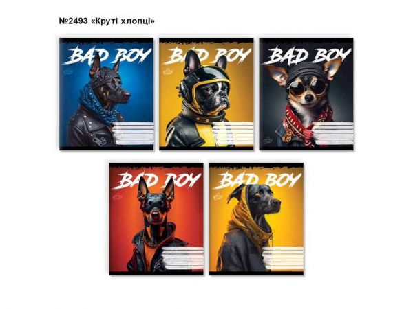 ����� � ���� 24���. 20��/�� ��. ��-109 �2493 ����i �����i ���в�� - �������� 1