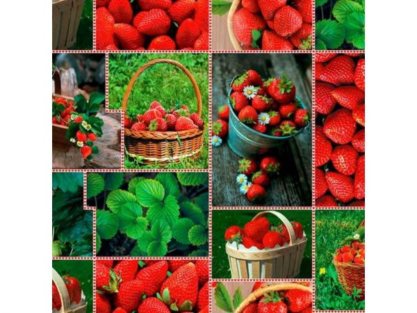 �������� �� ��������� ����� STRONG 1,37� � 20� ��� ��������� 5034 ��STENSON - �������� 1