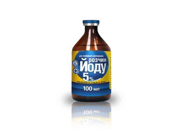 ������ ���� 5% 100�� ��O.L.KAR - �������� 1