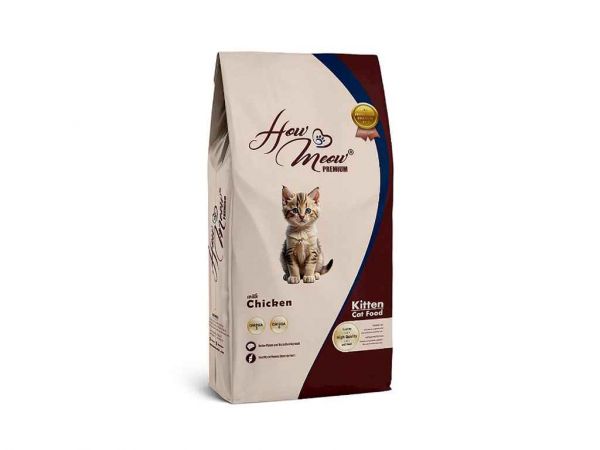 ����� ���� ��� ���� 15�� Adult Kitten � ������ ��How Meow - �������� 1