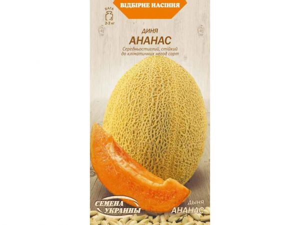 ���� ���� ������ 5� (10 �����) ����Ѳ��� ������� - �������� 1