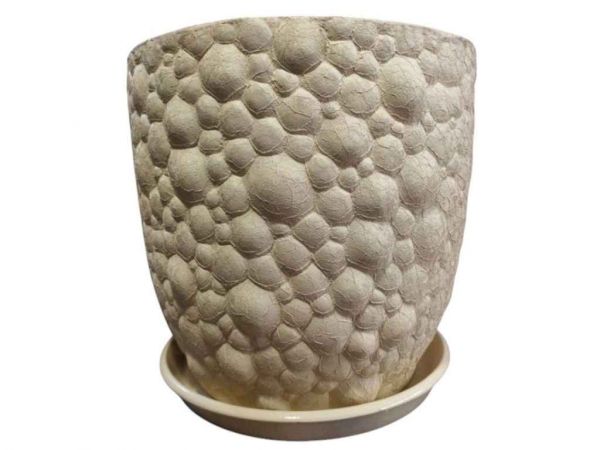 ���� ��������� ���� 10� ���������� - �������� 1