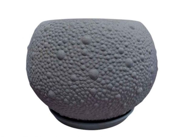 ���� ������ ���� 10� ���������� - �������� 1