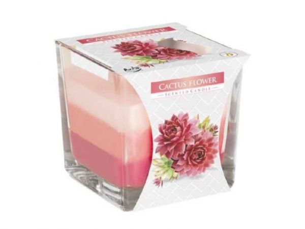 ����� ������������� � ��� SNK80-312 ��BISPOL - �������� 1