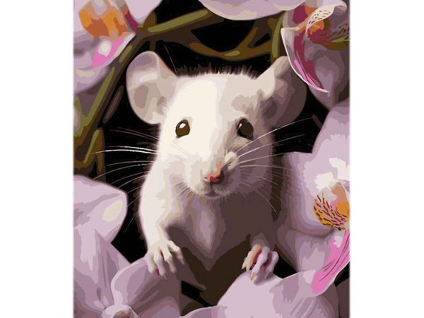 ���� ��� ������� �� ������� ������ � ������� 40�50�� �� ����������� ���� MZ029 ��STRATEG - �������� 1