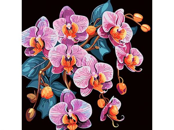 ���� ��� ������� �� ������� ������� � ���������� 40�40�� �� ������� ���� AV4040-39 ��STRATEG - �������� 1