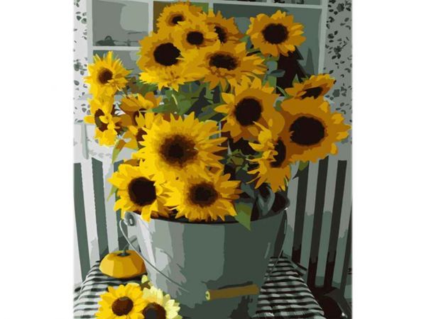 ���� ��� ������� �� ������� ����� � ����� ��� 40�50�� �� ����������� ���� MZ048 ��STRATEG - �������� 1