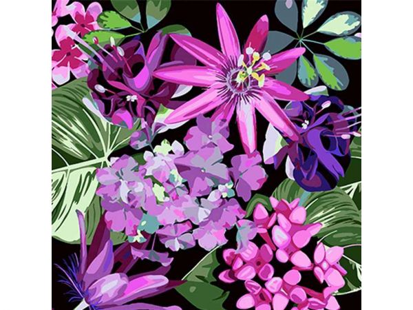 ���� ��� ������� �� ������� ������ ����� 40�40�� �� ������� ���� AV4040-27 ��STRATEG - �������� 1