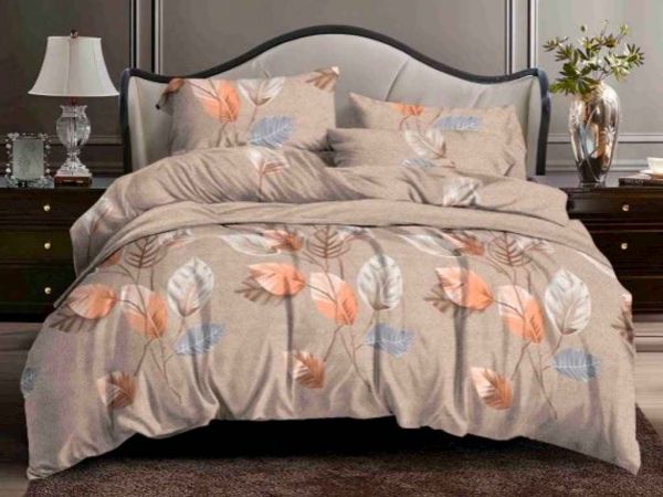 �������� �������� ������ ���� ���.1029e �������� ������ - �������� 1