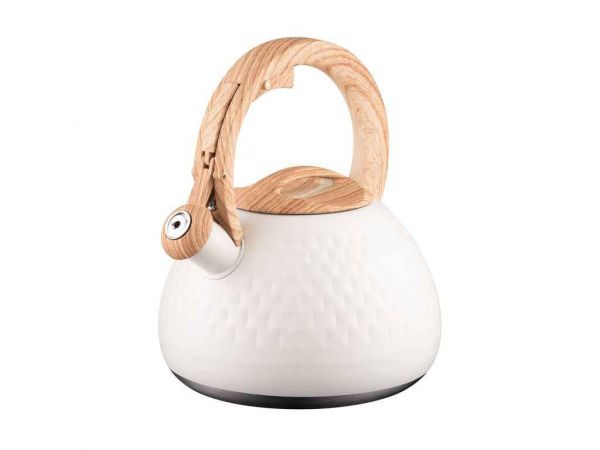 ������ 2,5� Gemini ������� ��ARDESTO - �������� 1