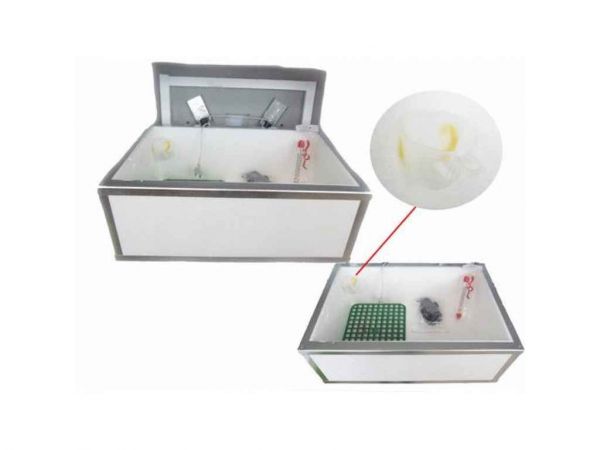 ̳- (100 )   ., ./ .  -  1