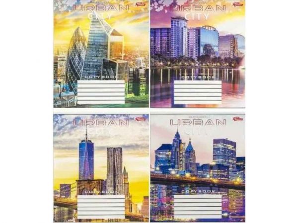    24. 16/  .3819 в  -  1