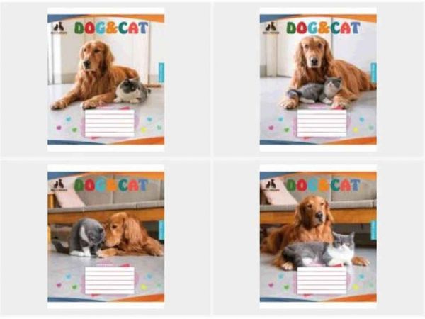 ����� � ������� 18���. 20��/�� ���� ���.3799� ���в� ���������� - �������� 1