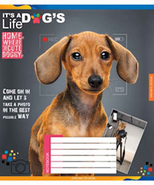    24. 16/  .3727 в  -  1