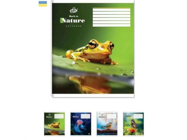 ����� � ���� 24���. 20��/�� ��-109 ����� ������� ��BRISK - �������� 1