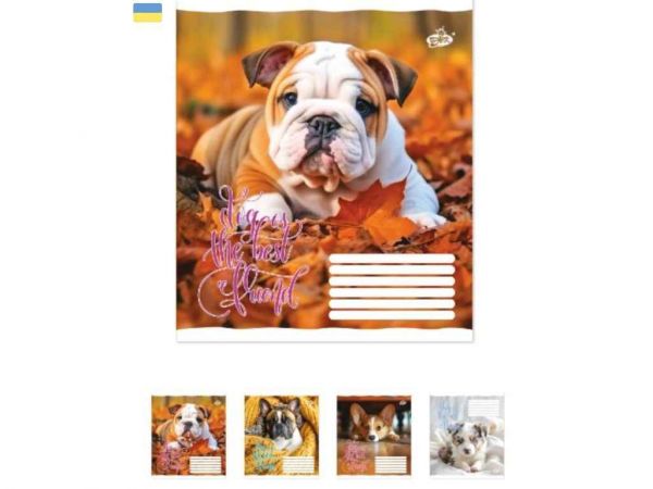    96. 10/ -17  BRISK -  1