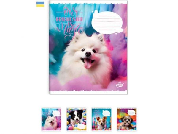 ����� � ������� 18���. 25��/�� ��-108 �i� ���� ��BRISK - �������� 1