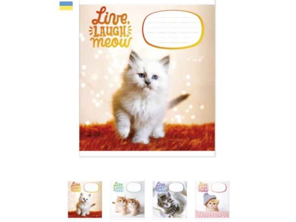     12. 25/ -47  GOLD BRISK -  1