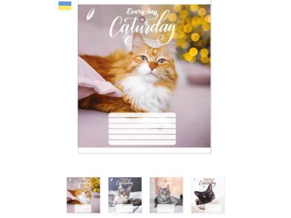 ����� � ������� 96���. 10��/�� ��-317 �����i ��i ������ - �������� 1