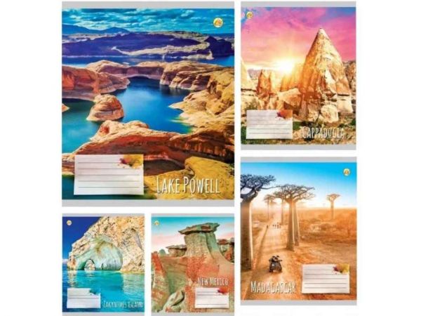    24. 20/   52308  -  1