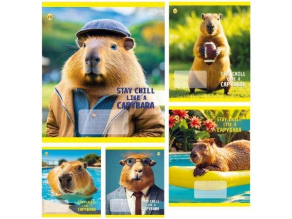    18. 20/  51207  -  1