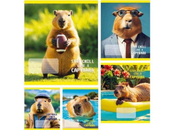    24. 20/  CAPYBARA 51307  -  1