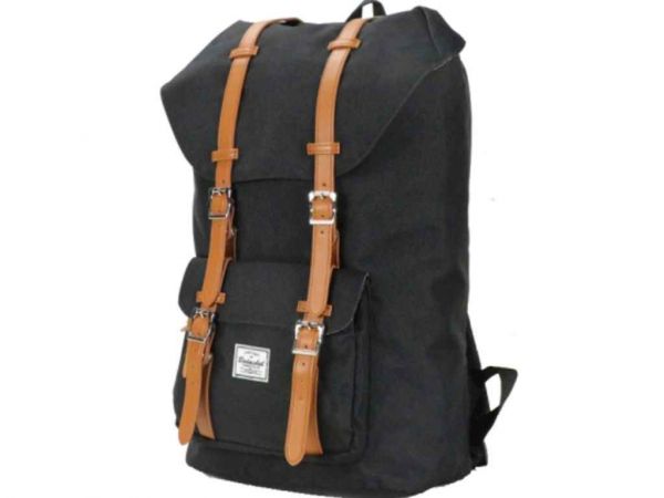 ������ ��������� 820 ���.BS01-01-M ��Bodachel - �������� 1