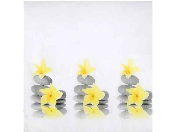 ����� ��� ����� Roka (��������) ���.63010 ��VOLVER - �������� 1