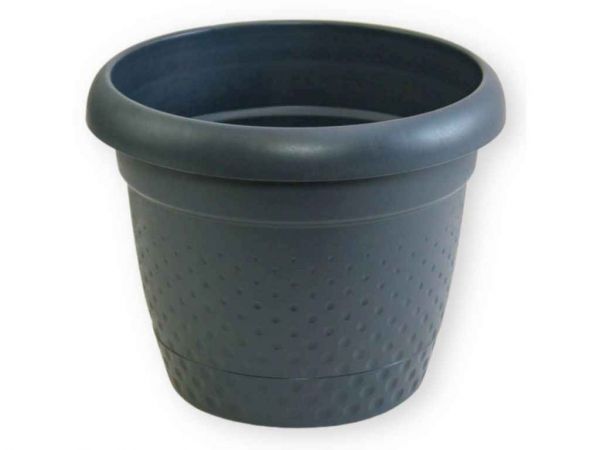    8,8 PEARL - KARASU -  1