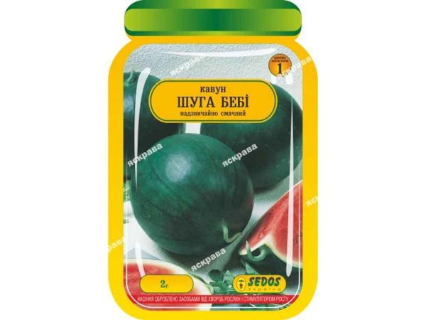 ����� ����� ��� (25 �����) ������������ 2� ��SEDOS - �������� 1