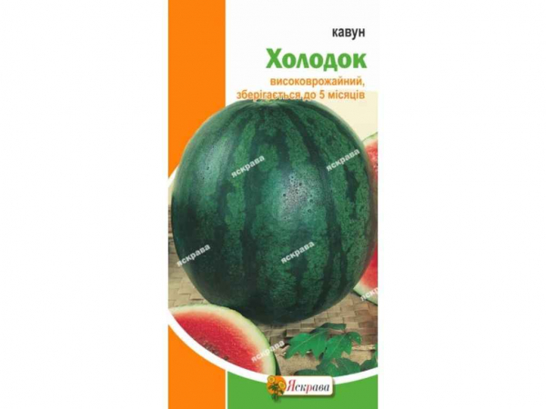 ����� ������� (20 �����) 2� ��������� - �������� 1