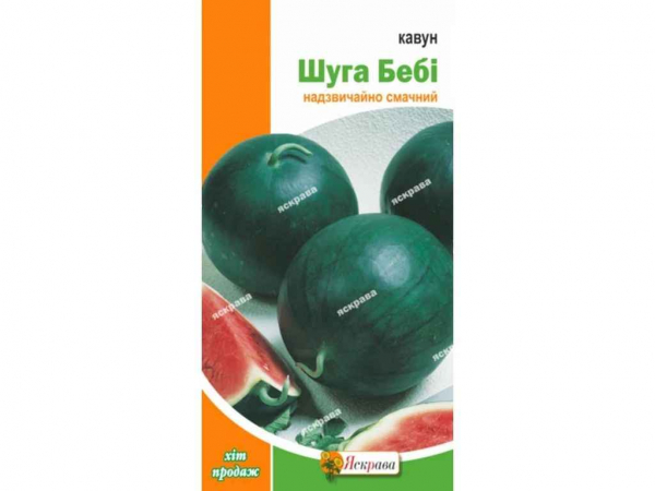 ����� ����� ��� (20 �����) 2� ��������� - �������� 1