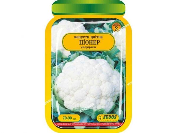   ϳ (25 )  80 . SEDOS -  1