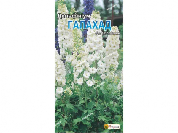 ���������� �������i���� ������� ���� (20 �����) 0,1� ��������� - �������� 1