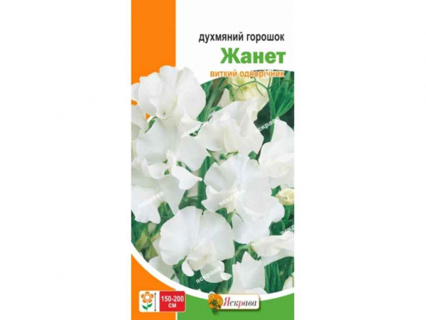 ������� �������� ����� ���� (20 �����) 1� ��������� - �������� 1