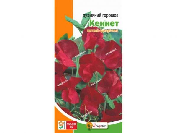 ������� �������� ������ �������� (20 �����) 1� ��������� - �������� 1