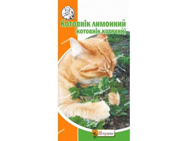 �������� �������� (20 �����) 0,5� ��������� - �������� 1