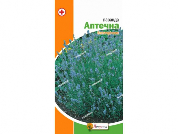 ������� ������� (20 �����) 0,1� ��������� - �������� 1