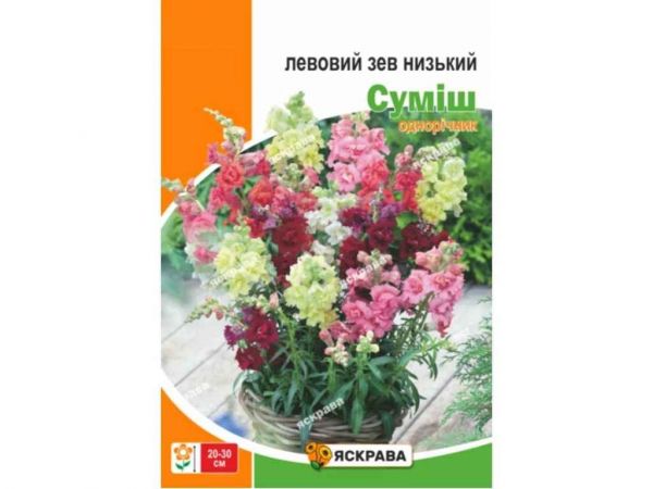 ������� �� ������� ���� ���� (10 �����) 2� ��������� - �������� 1