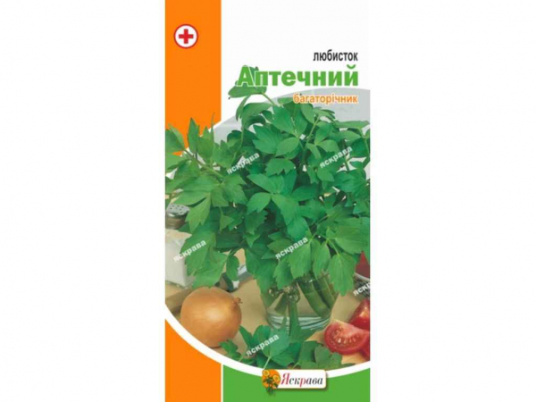 �������� (20 �����) 0,2� ��������� - �������� 1