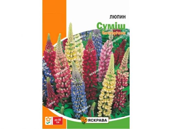 ����� �������i���� ���i� ���� (10 �����) 3� ��������� - �������� 1